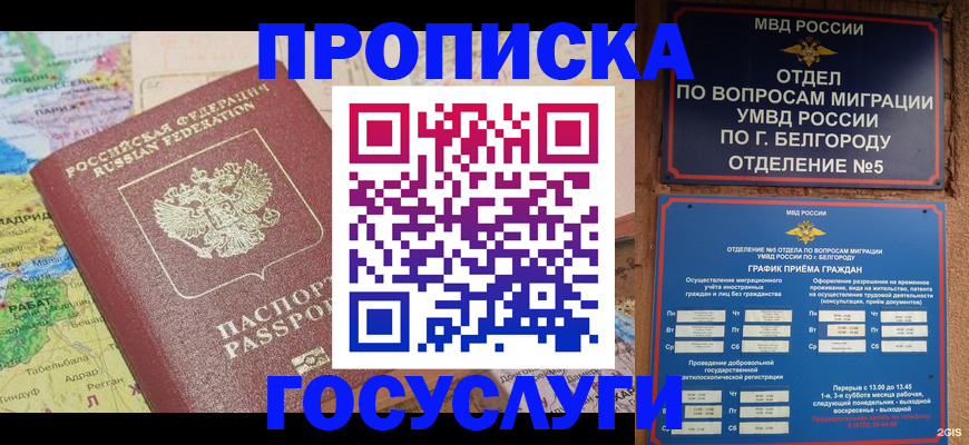 прописка регистрация в Алексеевке